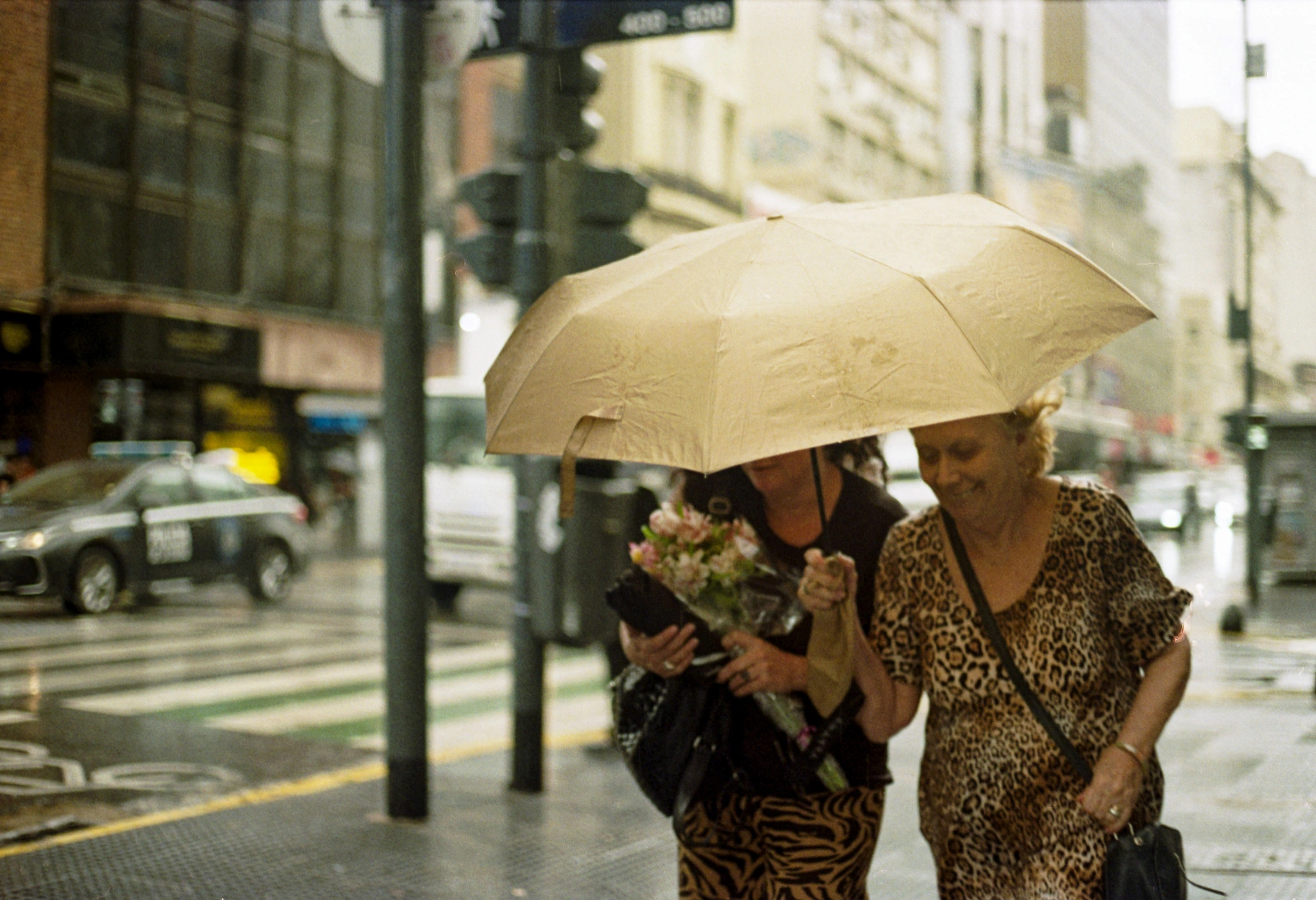 rain umbrella